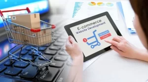 E-commerce Development <br> (Starting at)